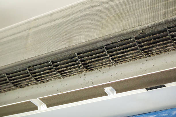 Best Home Air Vent Cleaning  in Loretto, PA